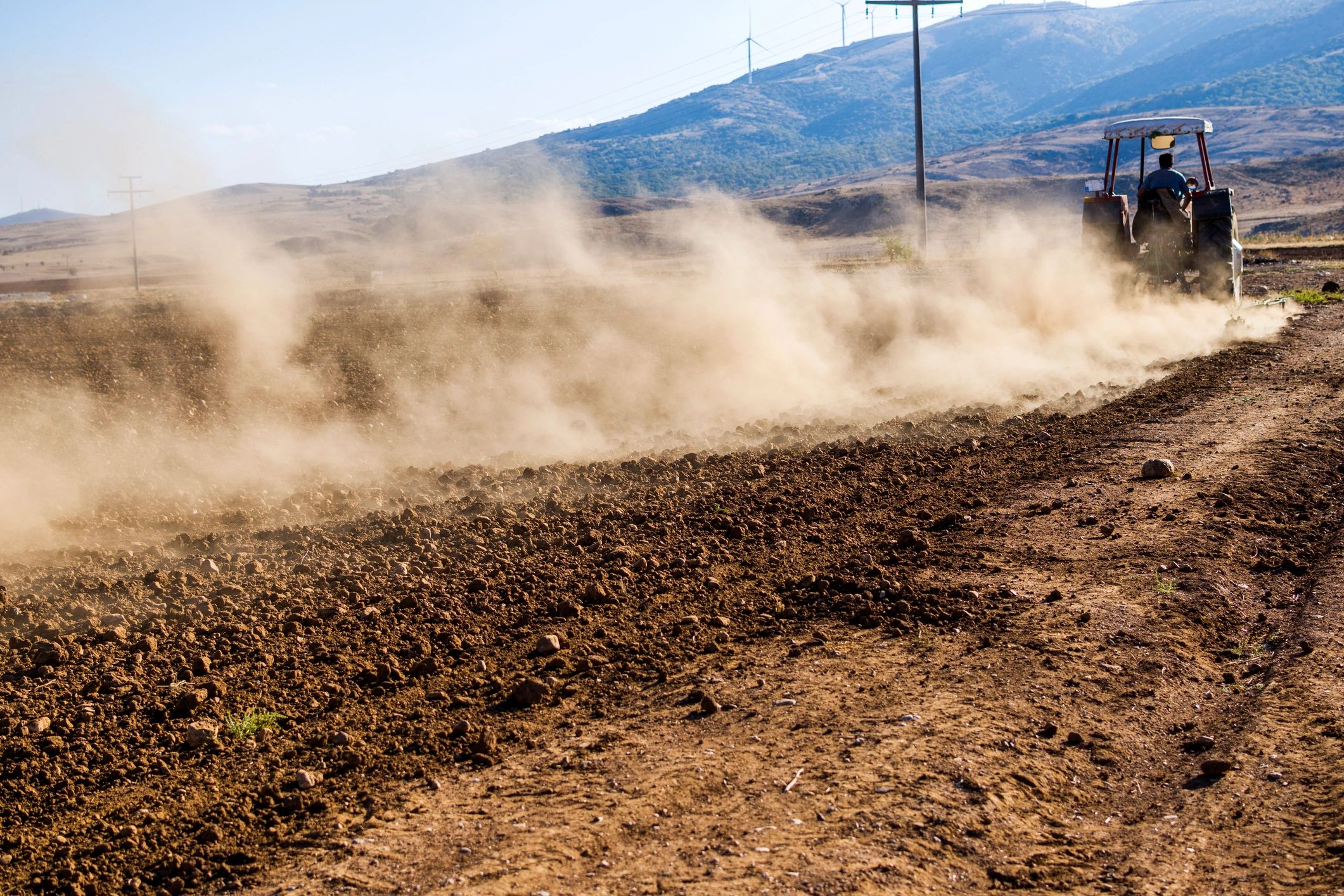 Man in plaid shirt using chainsaw to cut tree branches outdoors.