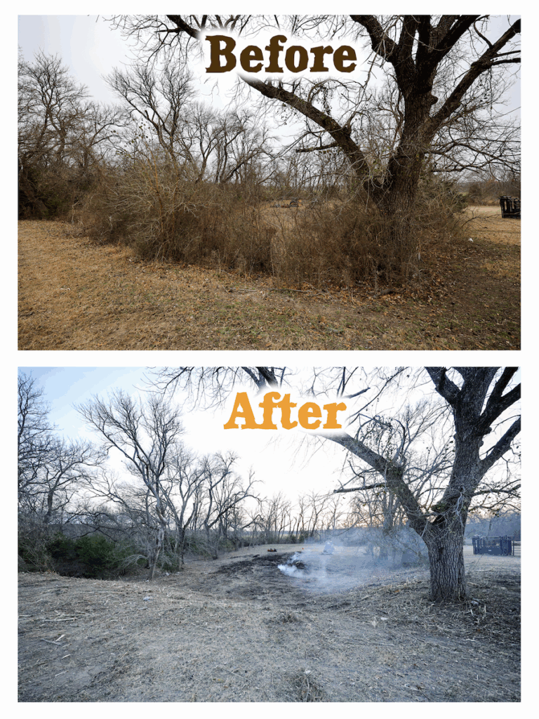 Before and after images showing land clearing and cleanup.