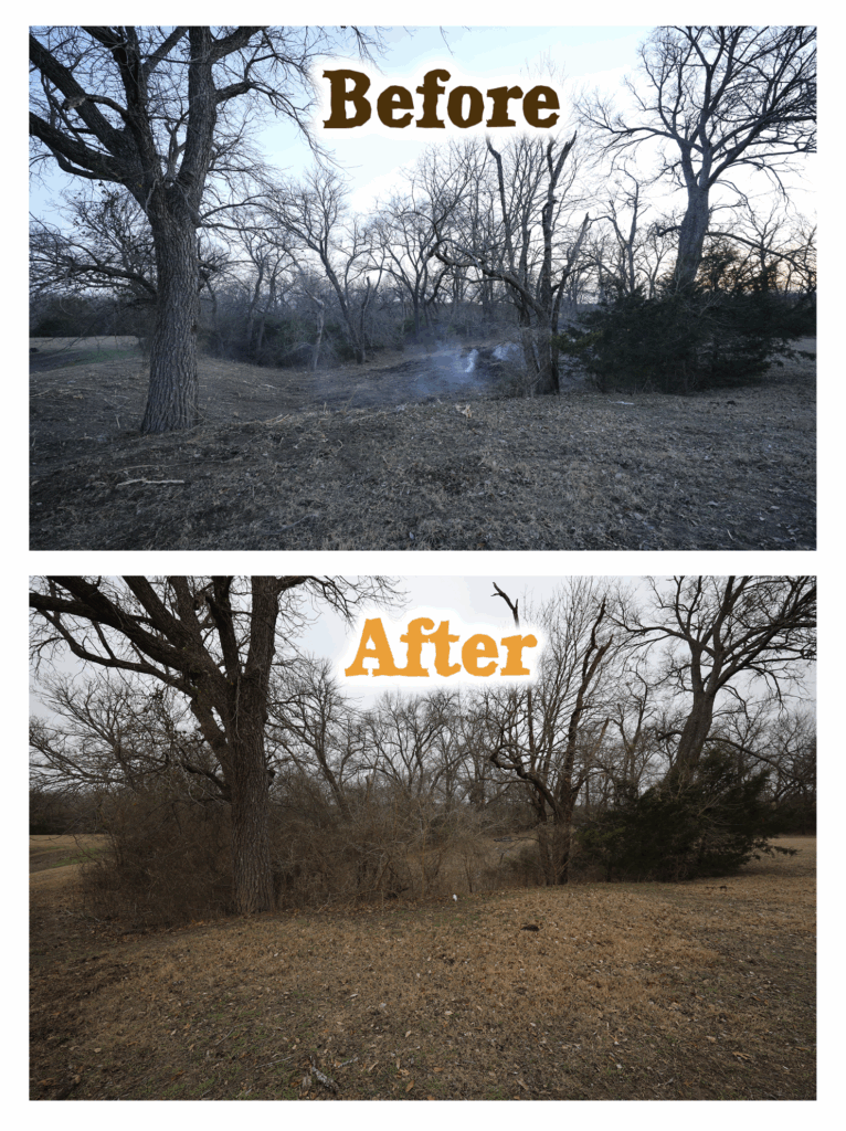 Before and after clearing brush from a wooded area.